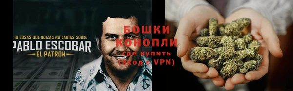 mdpv Новодвинск