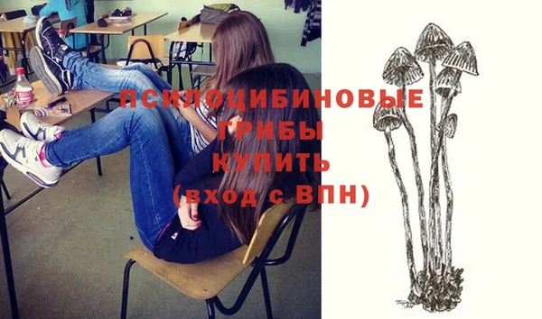 спайс Нея