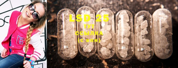 mdpv Новодвинск