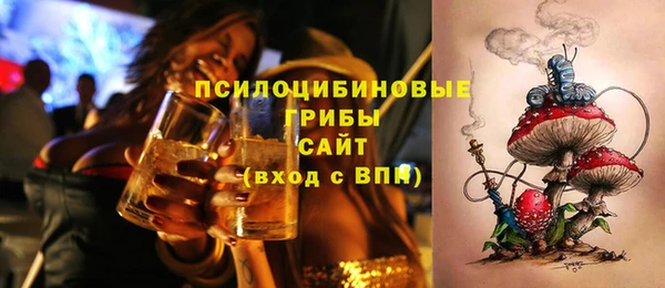 таблы Новозыбков