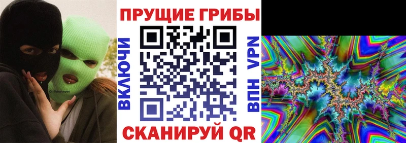 где можно купить   Яранск  Псилоцибиновые грибы GOLDEN TEACHER 